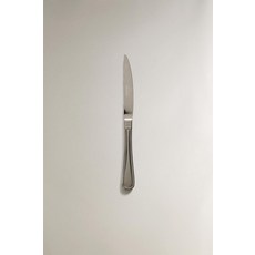 zara 자라 유광 스테인리스 스틸 스테이크 나이프 - 철강색309887, 단일 사이즈