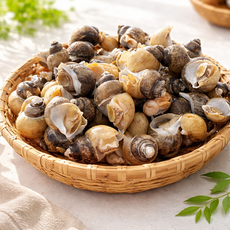 싱싱 자연산 흑골뱅이(흑고동), 3개, 1kg(70미 내외)