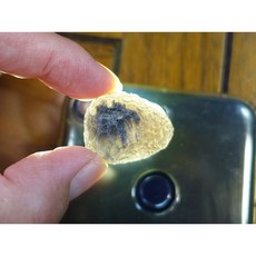 能量礦石 Saffordite亞利桑那隕石 13.62g 天狼星 美國隕石 - 寵物情緒穩定、活力提升, 1個