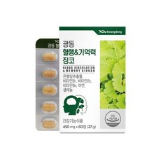 광동생활건강 광동 혈행 & 기억력 징코 450mg 60정 1개