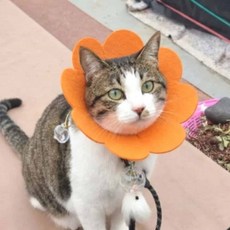 마켓프리 부직포 넥카라, 01) XS