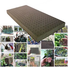 삽목용 오아시스 276구 1장 다육이 선인장 리톱스 야생화 분갈이 수국삽목 플로랄폼 지피펠렛, 2개