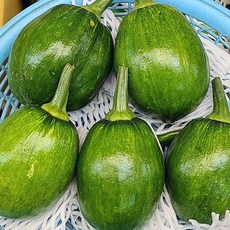 국내산 풋호박 동글이호박 조선호박, 5개, 400g