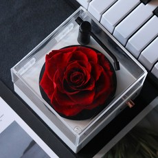 永生玫瑰花藍牙留聲機情人節送閨蜜禮物永生花創意生日禮物擺件, 如圖所示, 藍牙留聲機紅色