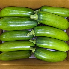 [영희네] 신선하고 부드러운 국내산 자연애호박 특품, 1개, 5개(개당350g내외)