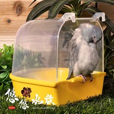 悠悠兩棲爬蟲特寵店 小型鸚鵡洗澡盆 口袋鸚鵡 太平洋鸚鵡 牡丹鸚鵡 小太陽 鸚鵡用品, 1個, 白色