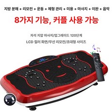 진동 운동기구 바디 쉐이크 실내 전신 덜덜이, 레드블랙 스타일리시 300w 78cm 1단계, 기본 모델명/품번