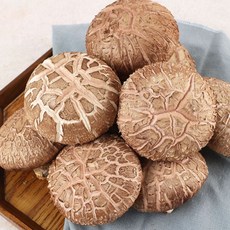 생표고버섯 못난이, 1개, 1kg