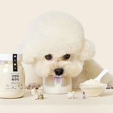 [놀로]배앓이 없는 강아지 고양이 펫밀크 설채현 간식 산양유 파우더200g, 1개, 소화+장건강, 200g