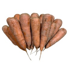 제주도 햇 당근 출시 제주 구좌 흙당근 주스용 못난이 국산당근 쥬스용, 1박스, 제주도 햇 당근 중 10kg