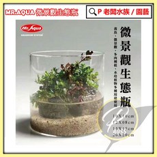 P老闆水族 微景觀生態瓶 - 玻璃生態瓶 植物培育圓柱缸 鬥魚/多肉適用, 1個, 10x10