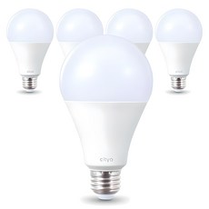 씨티오 LED 화이트 전구 20W, 주광색, 5개