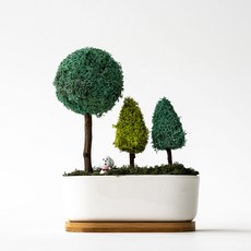 斯堪迪亞苔蘚森林花盆, 太平洋綠, 1個