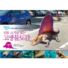 실물 크기로 보는고생물도감(고생대 편):고생대 생명체 3억년의 화려한 역사, 영림카디널, 츠치야 켄 저/김소연 역/이융남 감수