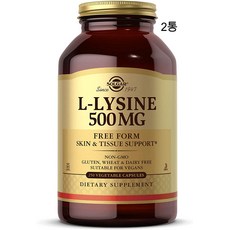 솔가 라이신 엘 라이신 L-Lysin 500mg 250캡슐 x 2통, 250정, 2개