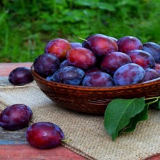 초특가 일등농수산 고당도 속빨간자두 피자두, 1개, 2kg (로얄과)