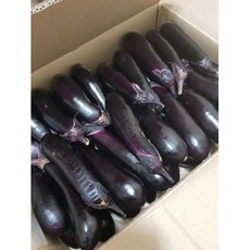 가지, 4키로, 1개