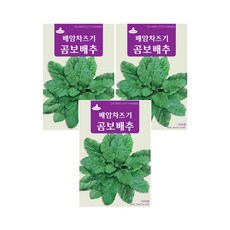 모두다 채소씨앗 배암차즈기곰보배추씨앗(1000립), 3개