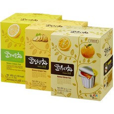 맛있는 액상 캡슐차 x 15개입 x 5박스 드레싱 소스 과육 알갱이 잔여물 섭취 탄산수, 30g, 15개