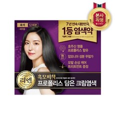 리엔 흑모비책 프로폴리스 새치염색약 흑색 총 12회분 대용량 x 1개, one color