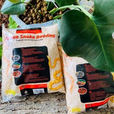 金金水族 白楊木屑 REPTIZOO 500g 墊屑 墊材 底材 木屑 蛇 蜥蜴 兔子 倉鼠 鳥類 爬蟲, 1個