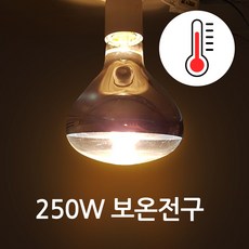 보온등 250W 히팅램프 적외선 월동용 식물온도유지 따뜻한욕실전구 노란빛, 전구색, 1개
