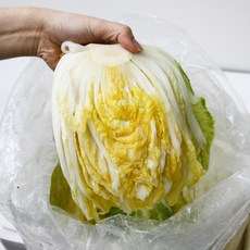 강원도 평창 충북 괴산 절임배추 김장배추, 20kg, 1박스, O월 O일 O요일 출고 형태로 입력해주세요.