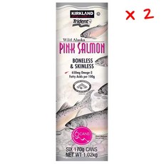 커클랜드 와일드 알라스칸 핑크 살몬, 170g, 2개
