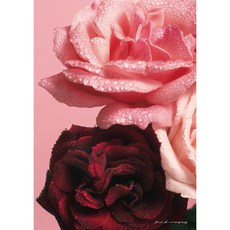 식물 플랜테리어 감각있는 인테리어 사진 포토 액자 홈인테리어 방꾸미기 카페 포스터 A2 A3 A4 01, 06