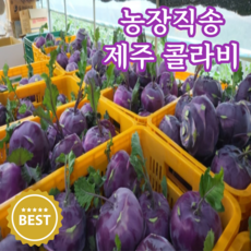똘순이네 아삭달큰한 농장직송 제주 콜라비, 1박스, 3kg