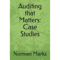 Auditing that Matters: Case Studies Paperback, Independently Published