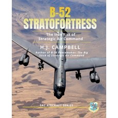 (英文圖書)B-52 Stratofortress: The Iron Fist of Strategic Air Command 平裝版, Electrikbooks, 英文