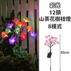 太陽能樹枝燈, 【加大太陽能板】山茶花-彩光
