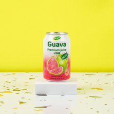 [이.그.구] 이건 그냥 구아바입니다., 330ml, 24개