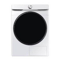삼성전자 AI 건조기 21kg, 화이트, DV21DG8200BW