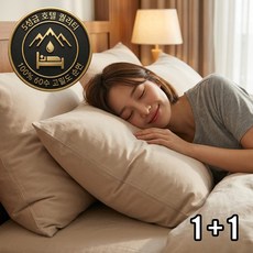 데일브 5성급 호텔식 고밀도 순면 베개커버 2p