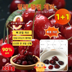 [한정특가] 1+1 칠레 수입 말린 체리 208g 알찬 열매 새콤달콤 말린 체리, [1+1]
