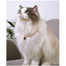 버그슬러그 강아지 목걸이 고양이 진주 목걸이, 화이트, 1개