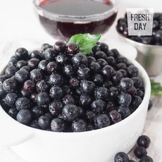 고창 줄기제거 아로니아 생과 특품 1kg, 단일상품(2024 최신), 상세설명 참조