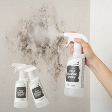 에코후레쉬 프리미엄 곰팡이 제거제500ML 1+1 총2개, 2개, 500ml