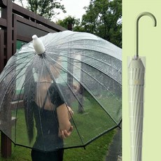 가죽핸들 자바라우산 6색 물받이캡 투명우산 2색 5시건