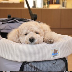 패리스독 베어 자카드 쿨 유모차 가드 쿠션방석, 1개