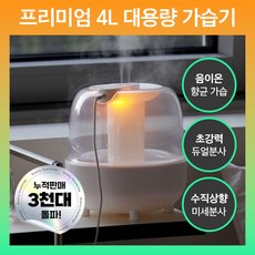 퍼닝 4L 듀얼 대용량 가습기 초음파 탁상용 사무실 통세척 무소음