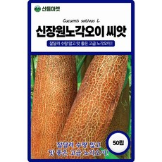 산들마켓 신장원노각오이 씨앗 50립 수량 많고 맛 좋은 고급 노각오이씨 품종 종자, 1개