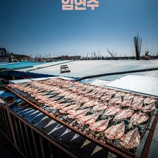 국내산 반건조 임연수 이면수 생선, 450g 5미 x 1팩