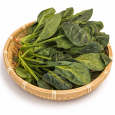 국내산 남도 깨끗한 하우스 시금치, 1박스, 1kg