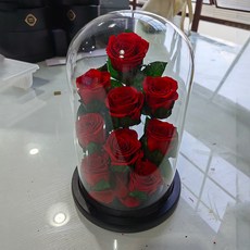 王子玻璃罩永生花紅色玫瑰花情人節苔蘚手工禮物禮盒擺件高級感, 1個, 15*25長情九許(9朵)