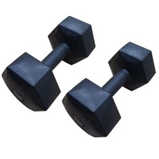 대한스포츠 육각 아령, 10kg, 2개