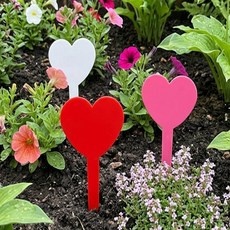 사라샵 식물 라벨 20p 푯말 홈가드닝, 레드