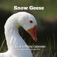 Snow Geese 8.5 X 8.5 Calendar September 2021 -December 2022: Monthly Calendar with U.S./UK/ Canadian... Paperback, Independently Published, English, 9798717435680
